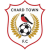 Chard Town FC